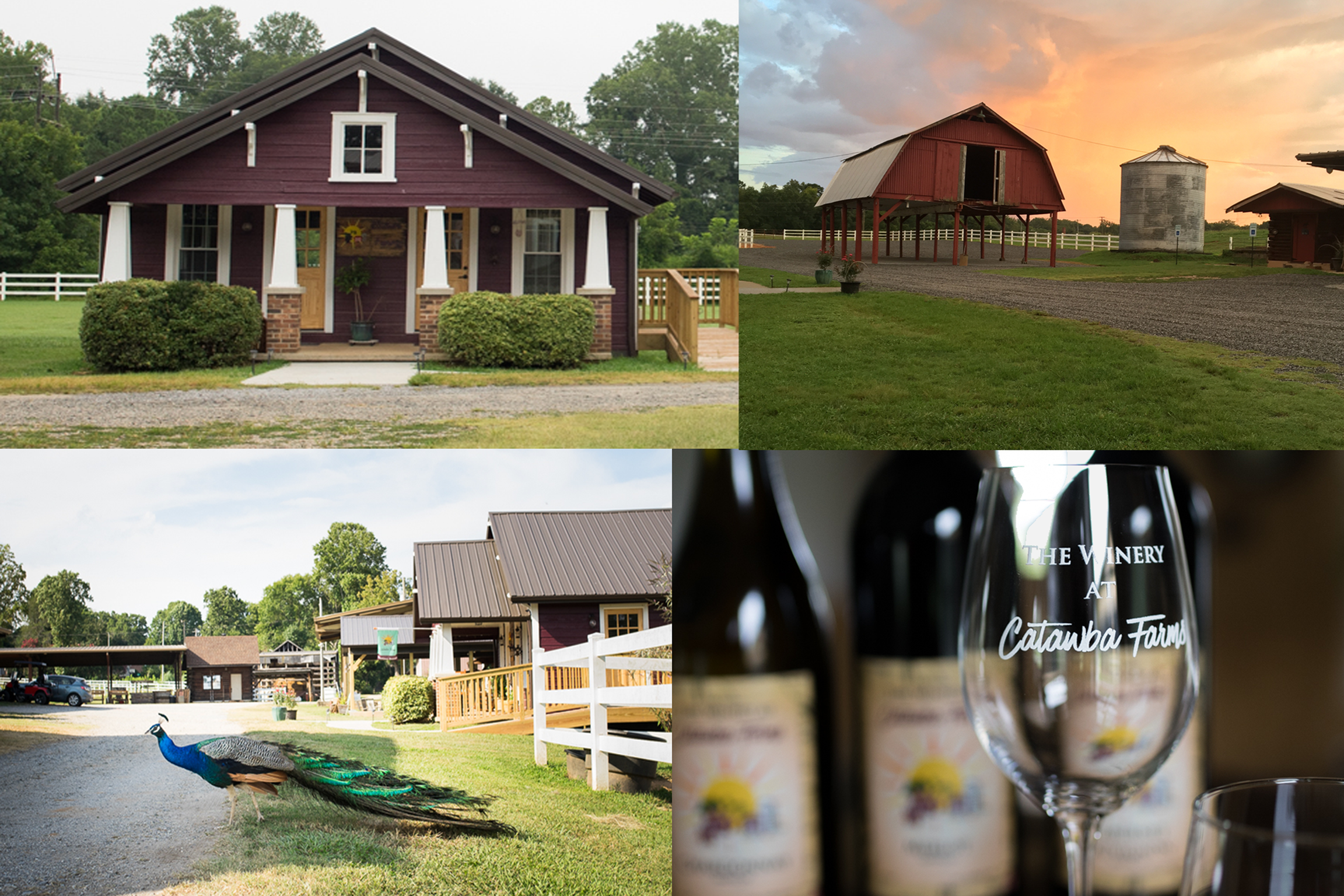 Vineyard & Winery Image Collage
